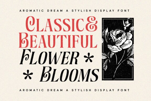Aromatic Dream - Stylish Display Font