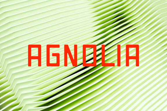 Rishgular