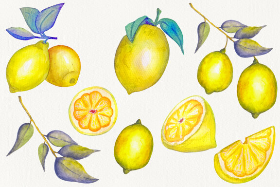 Set of Watercolor Lemons
