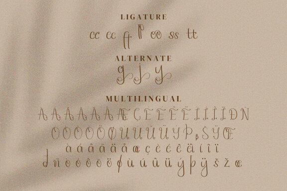 Hayletta Script Fonts