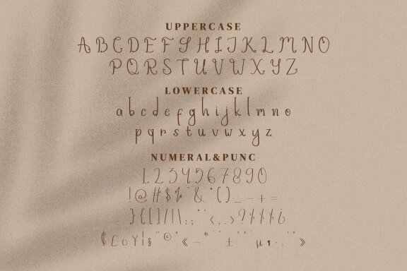 Hayletta Script Fonts