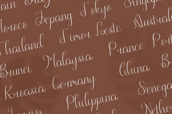 Neffty Scipt Fonts