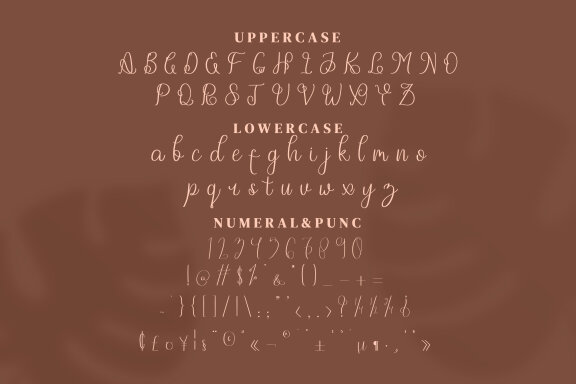 Neffty Scipt Fonts