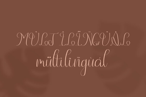 Neffty Scipt Fonts