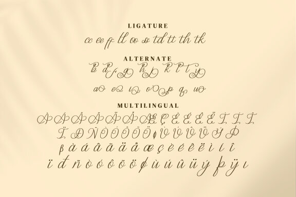 Flasstival Script Fonts