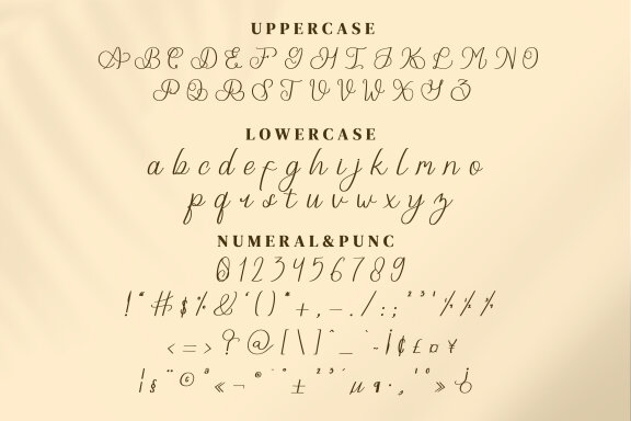 Flasstival Script Fonts