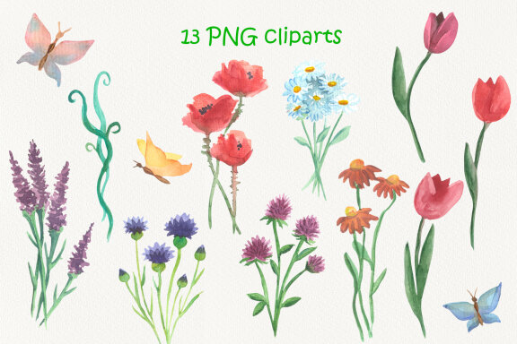 Watercolor Field Flowers