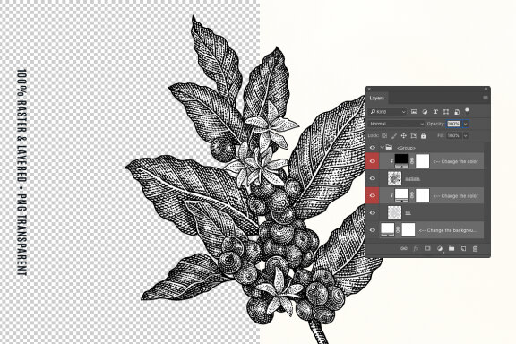 Engraving Coffee Illustration Set