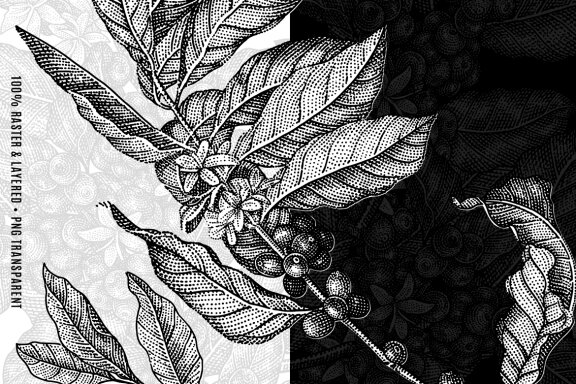 Engraving Coffee Illustration Set