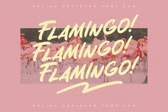 Melina Davidson - Organic Font Duo