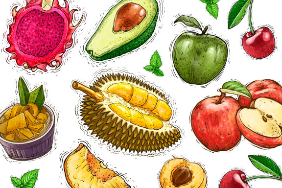 Fruit Watercolor Illustration