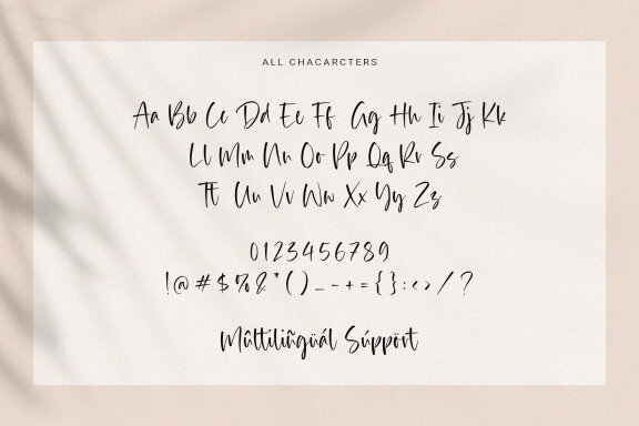 Rustic Homes Handwritten script Fonts