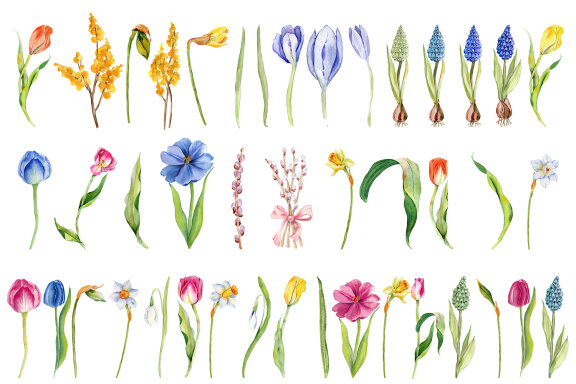 Spring flowers, Bouquet flowers.