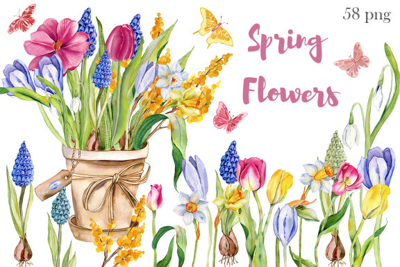 Spring flowers, Bouquet flowers.