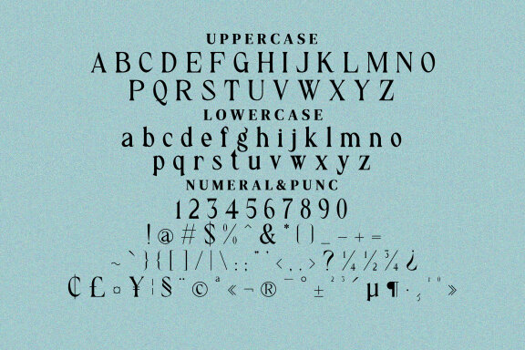 Carl Boehem Serif Fonts