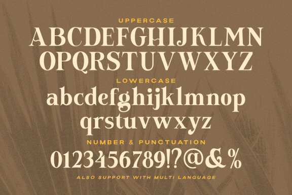 Newfield - Modern Serif Font