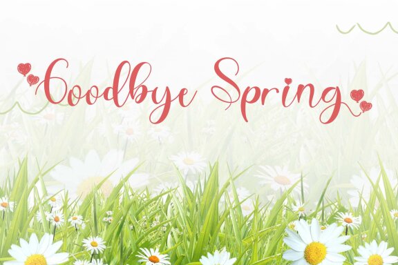 Best Spring