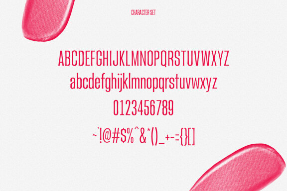 Attiva Sans Display Font