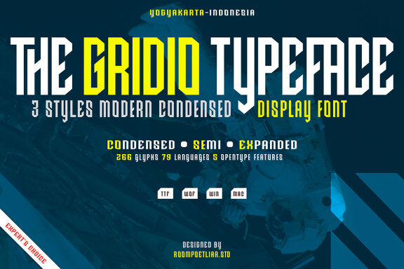 Gridio Display - 3 Fonts