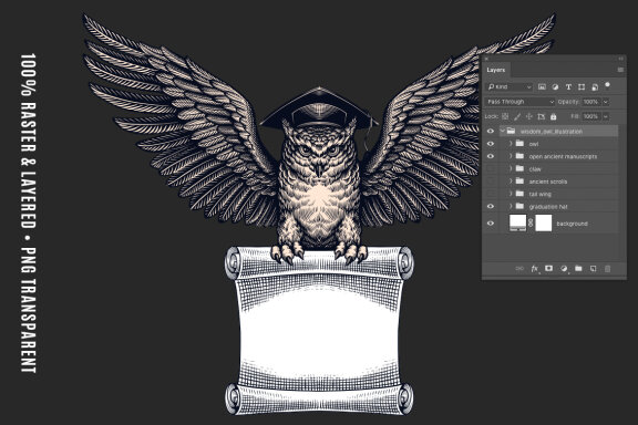 Wisdom Owl Illustration