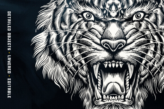 Tiger Head Illustration
