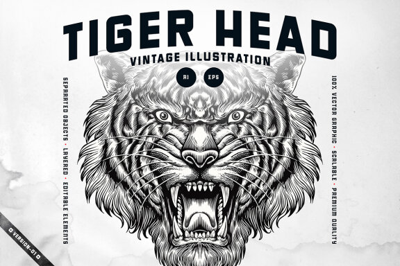 Tiger Head Illustration