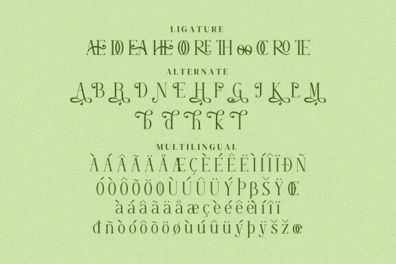 Moore Great Serif Fonts