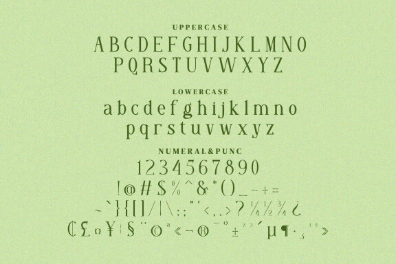 Moore Great Serif Fonts