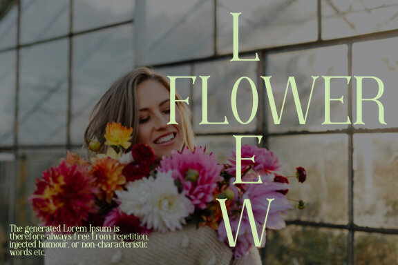 Moore Great Serif Fonts