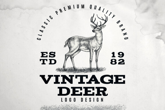 Wild Deer Illustration
