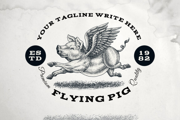 Flying Pig Illustration