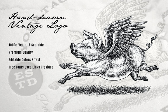 Flying Pig Illustration