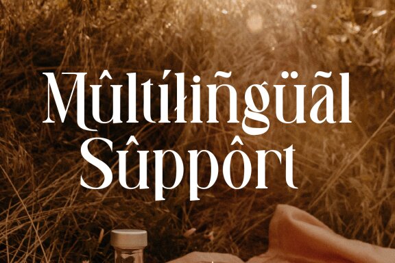 Ravegic Serif