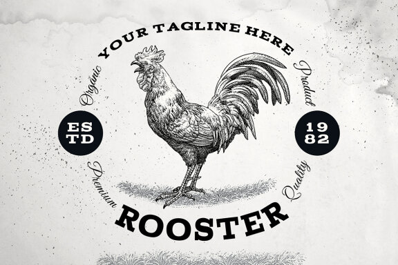 Wild Rooster Illustration