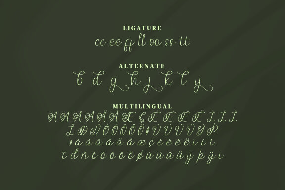Donitty Script Fonts
