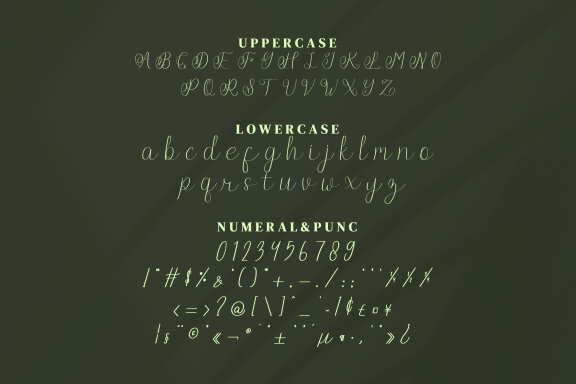 Donitty Script Fonts