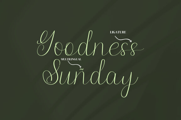 Donitty Script Fonts