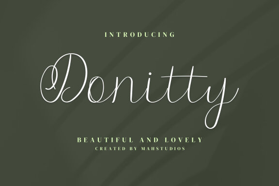 Donitty Script Fonts