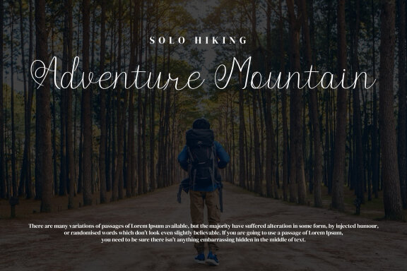 Donitty Script Fonts