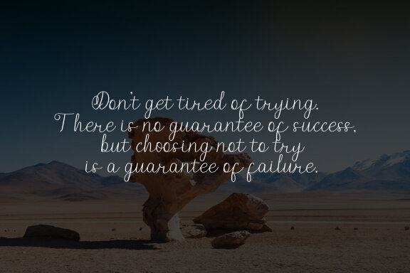 Donitty Script Fonts