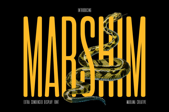 Marshim Sans Serif Display Font