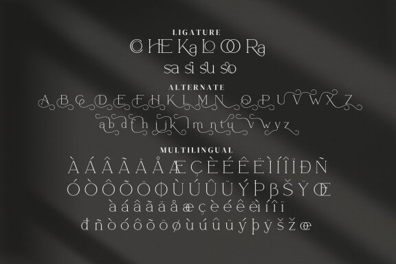 Alasika Serif Fonts