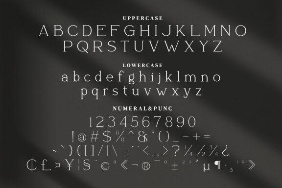Alasika Serif Fonts