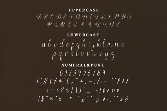 Roccang Script Fonts