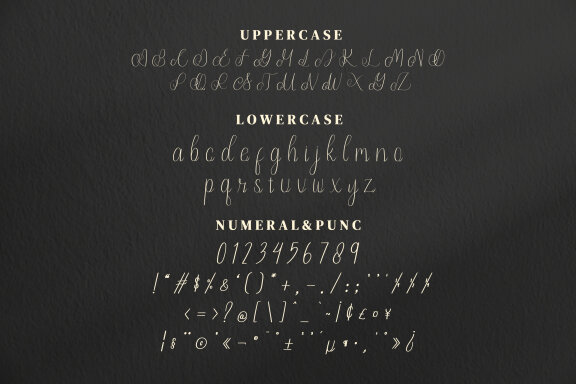 Olleta Script Fonts