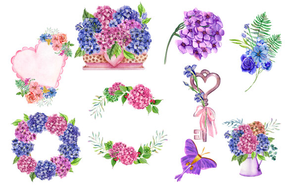 Watercolor Hydrangea Flowers Clipart