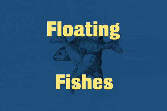 Gratika Sans Display Font