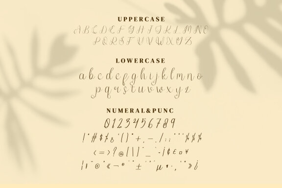 Jump Wings Script Fonts