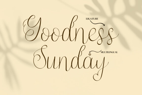 Jump Wings Script Fonts