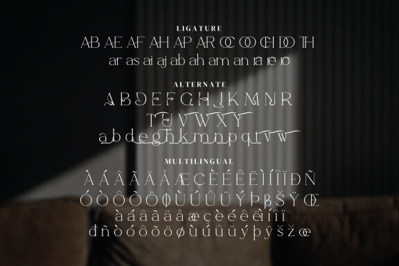 Baswaran Serif Fonts